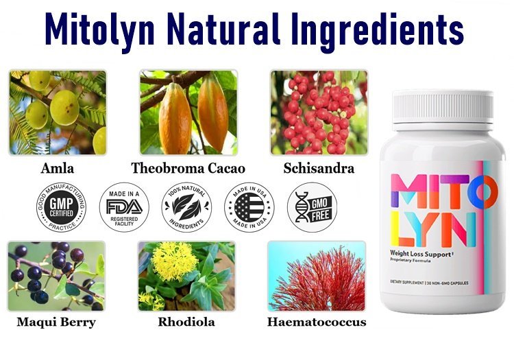 Mitolyn Ingredients